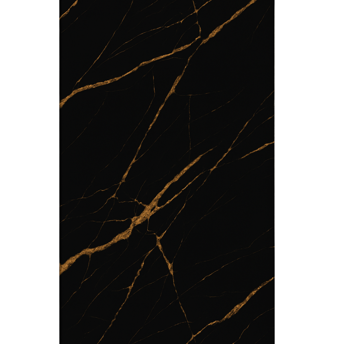 PVC Wandpaneel Black Gold – 280x122 cm – Hoogglans & Waterdicht